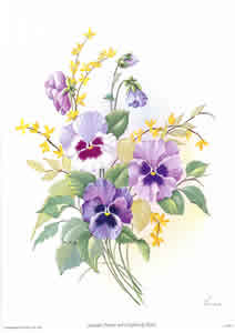 Lavander Pansies By Reina Pack of 6 prints Size 10 x 8 - 1803