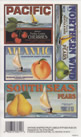EZ Rub On Vintage Shipped Fruit Labels - 1805TIP