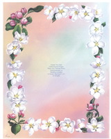Set of 9 Prints Apple Blossom Sheet - 1821