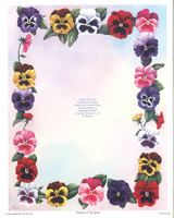 Set of 6 Pansies 1V sheet - 1823
