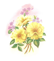 Rosemary Florals 4 - 2045