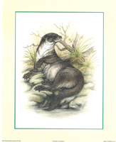 Otters size 10 x 8 - 209