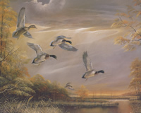 Birds Settling In 8104 Print Size 10 x 8 - 2095