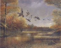 Birds Breaking Dawn 8103 Print Size 10 x 8 - 2096