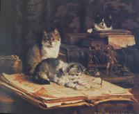 Cats Reading 120 Print Size 10 x 8 - 2153