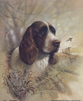 Eduring Loyality Dosgs 8034 Print Size 10 x 8 - 2169