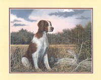 Brittany Spaniel Dog FL-3839 Print Size 10 x 8 - 2177