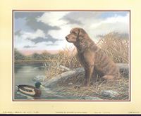 Chesapeake Bay Dog FL-3842 Print Size 10 x 8 - 2178