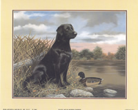 Black Labador Dog FL-3841 Print Size 10 x 8 - 2179