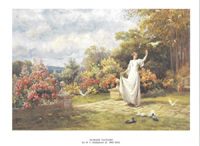 Summer Flowers Pack o 5 prints Size 10 x 8 - 218