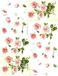 Light pink Roses - 218131