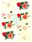 Pink And Red Roses - 218178