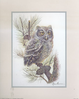 Birds First Flight Owl 50221 Print Size 10 x 8 - 2271