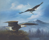 Eagle 1 213-12713 Print Size 10 x 8 - 2273