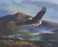 Eagle 1V 213-12716 Print Size 10 x 8 - 2276