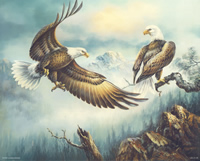 Eagel 2 52030 Print Size 10 x 8 - 2283