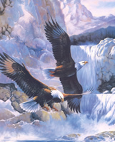 Flying Eagles 0247 Print Size 10 x 8 - 2284