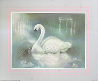 Swan 11 51288 Print Size 10 x 8 - 2290