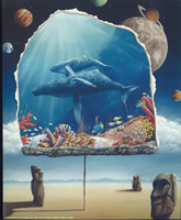 Whale Aquarium 8068 Print Size 10 x 8 - 2292