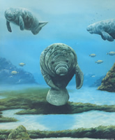 Manatee 2 52129 Print Size 10 x 8 - 2297