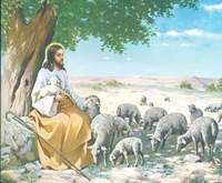 Jesus Shepherd 4000 Print Size 10 x 8 - 2332