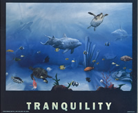 Tranquility 8097 Print Size 10 x 8 - 2333