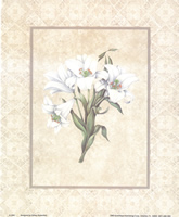 Lillies 1263 Print Size 10 x 8 - 2357