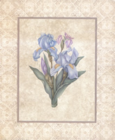 Iries 1264 Print Size 10 x 8 - 2358