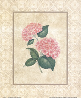 Hydrangia 1266 Print Size 10 x 8 - 2359