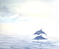 Travellers Dolphins 10823 Print Size 10 x 8 - 2364