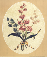 Hyacinths 689 Print Size 10 x 8 - 2492