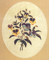 Heartsease 692 Print Size 10 x 8 - 2493