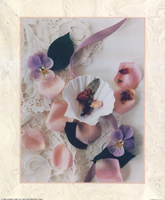 Shell and Petals 1 51401 Print Size 10 x 8 - 2546