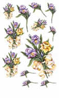 Iris Bouquet Rub On - 258FIT