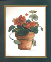 Geranium 5930 Print Size 10 x 8 - 2593