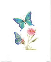 Flower and Butterflies 6665 Print Size 10 x 8 - 2622