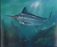Marlin 51705 Print Size 10 x 8 - 2672