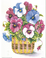 Pansy Basket NP 56205 Print Size 10 x 8 - 2697
