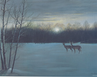Deer in the Night NP 51720 Print Size 10 x 8 - 2716