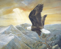 Eagles Lair 8040 Print Size 10 x 8 - 2754