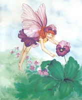 Pansy's Secret Fairy 95753 Print Size 10 x 8 - 2759