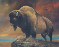 Buffalo Arrival Size 10 x 8 - 2813