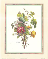 Spring Rose 3 4961 Print Size 10 x 8 - 2881