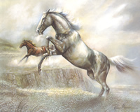 Wild Horses 2 8021 Print Size 10 x 8 - 2840