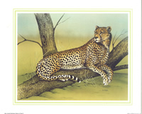 Afican Wild Animals D Size 10 x 8 - 2929