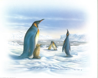 Penguins Size 10 x 8 - 2930