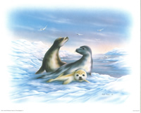 Seals Size 10 x 8 - 2931