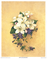 Cream and White Floral Print size 10 x 8 - 2951