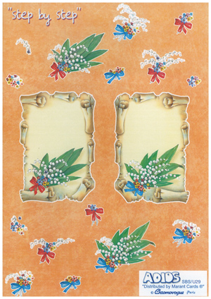 Flower With Scoll A4 Sheet - 29USBS B