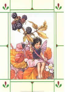 Flower Fairies C Pack of 4 prints Size 10 x 8 - 3101